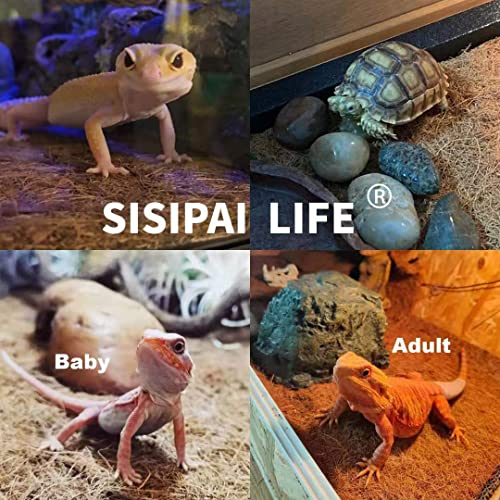 Reptile Carpet Coconut Fiber (36"x18" 1pack)