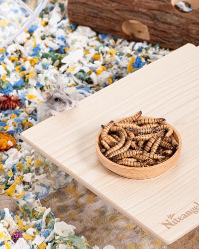 Small Animal Snack & Treats