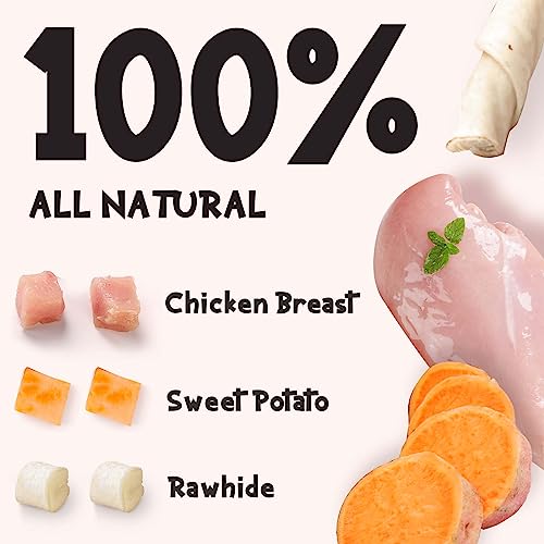 Dog Treats Bones
