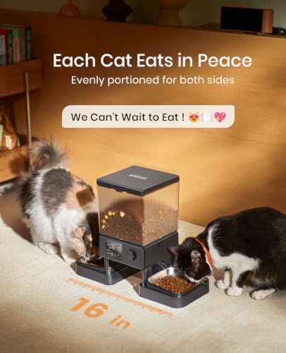 Automatic Cat Feeder for 2 Cats Pets (Black)