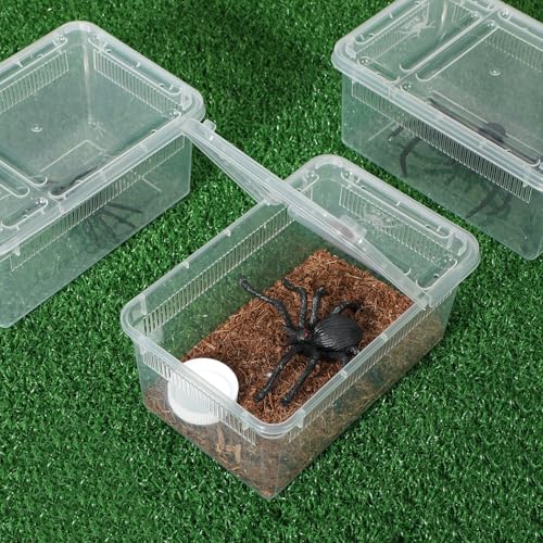 8 Pcs Reptile Breeding Box Plastic Spider Terrarium Tarantula Feeding Box for Bearded Dragon Lizard Spider Gecko Scorpion (Vent Strips / Clear / 5.9 x 3.9 x 2.5 Inch)