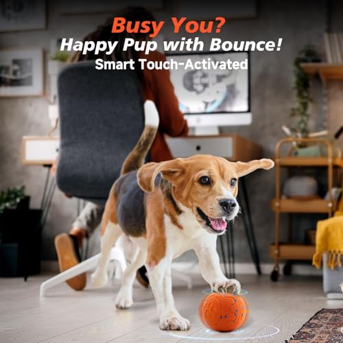 Interactive Dog Ball Toy