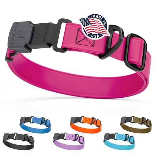 Biothane Waterproof Dog Collar with Herm Sprenger Stainless Steel Quick Release Buckle (W 1" x L 15"-25" / Magenta Pink)
