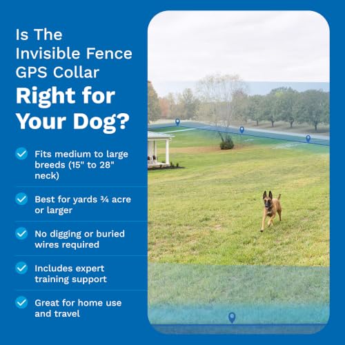 Brand GPS Collar + Tracking (GPS Fence Collar)