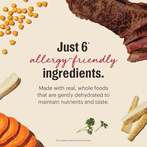 Wholemade 6 Ingredient Grain Free Beef Recipe