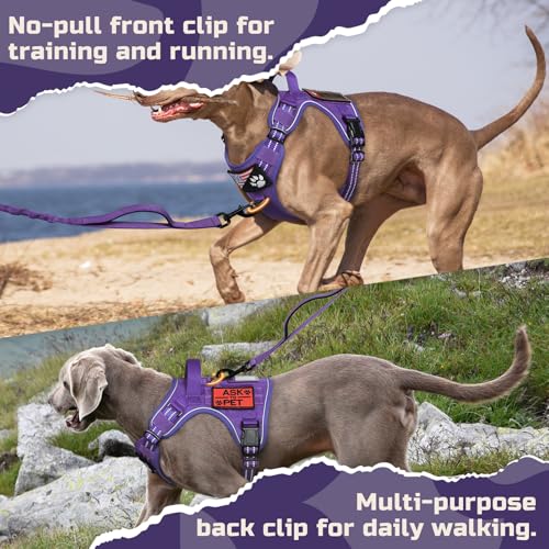 Tactical Dog Harness for X (Purple / X-Large)
