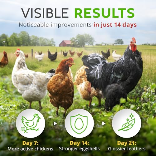 Herbs Supplement for Chicken Food Natural Poultry Feed (12 Ounce (Pack of 1))