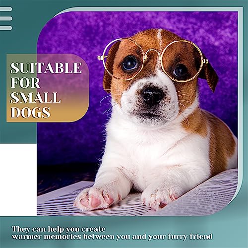 Dog Sunglasses Round Metal Pet Eyewear (Gold / No Lens Style)