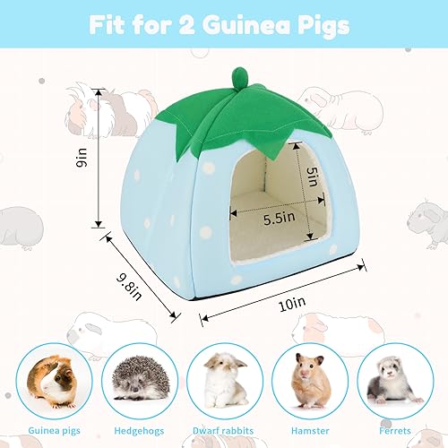 Guinea Pig Bed Hideout (Strawberry Blue)