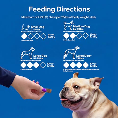 Dog Probiotics For Gut Health