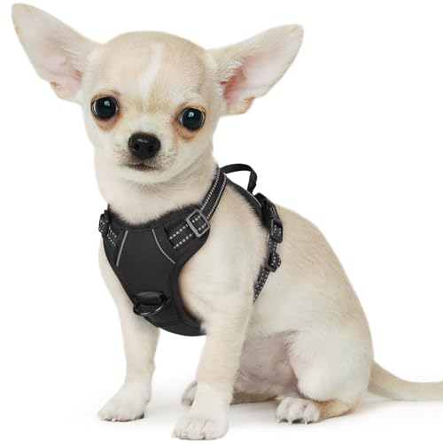 Dog Harness for Small Dogs (X-Small / Black)