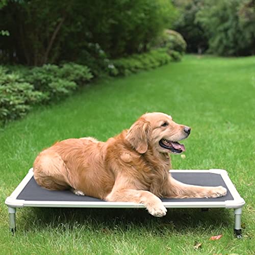 Chew Proof Elevated Dog Bed (Gray / 42.0"L x 30.0"W x 7.0"Th)