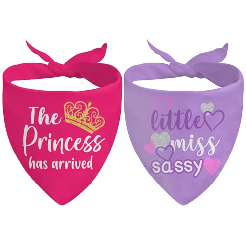 Puppy Bandana 2 Pcs (Sassy)