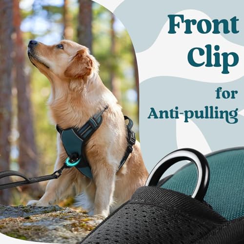 Dog Harness Medium Sized (Medium / Blue Coral)