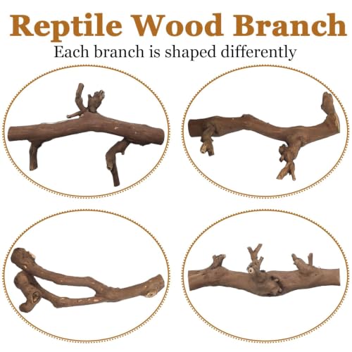 2PCS Snake Climbing Branch (Unpolished Reptile Climbing Wood)