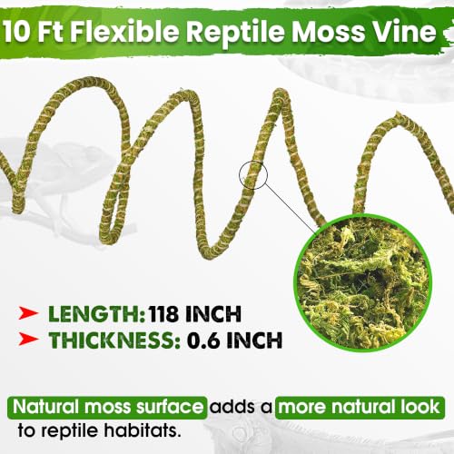 10FT Reptile Vines for Climbing (Green Reptile Vine - 10 Feet)