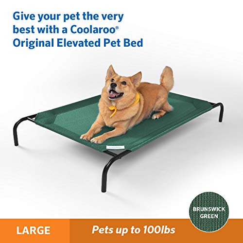 Gale Pacific Coolaroo The Original Cooling Elevated Dog Bed (Large Dog Bed / Brunswick Green (Pack of 1))
