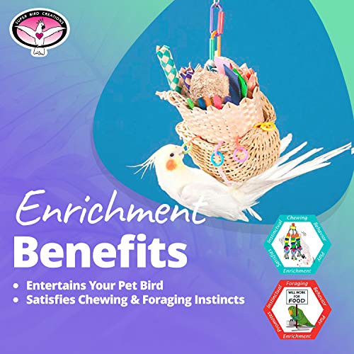 SB669 Wicker Foraging Basket Bird Toy for Parrots Cockatiels Ringnecks Medium Conures Quakers