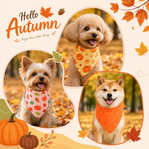 50 Pcs Fall Dog Bandanas Bulk (Fall Pumpkins / 19.7 x 13.8 x 13.8'')