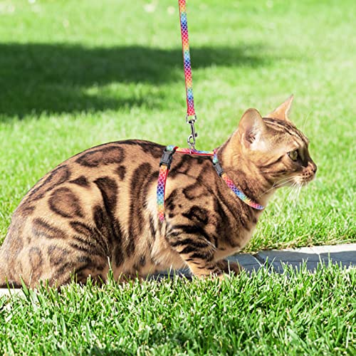 Cat Harness with Leash and Collar Set (Small / Multicolor)