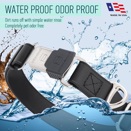Biothane Waterproof Dog Collar with Herm Sprenger Stainless Steel Quick Release Buckle (W 1" x L 15"-25" / Black)