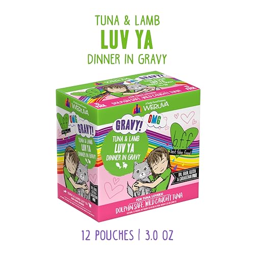 B.F.F. OMG Best Feline Friend Oh My Gravy! (3 Ounce (Pack of 12))
