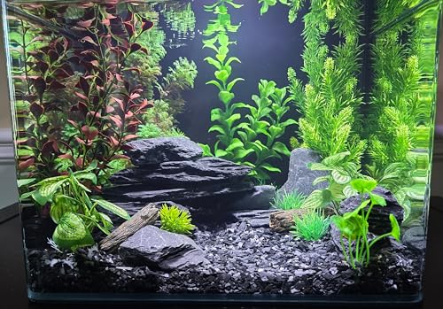 Natural Slate Stone 5 to 7 Inches (5 lbs)