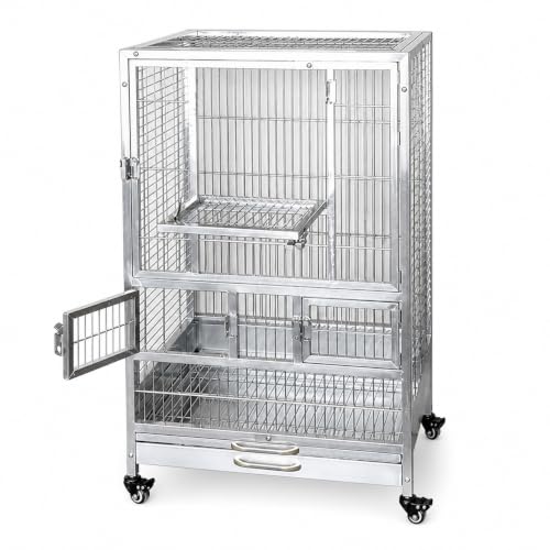 Cage Stainless Steel Glass