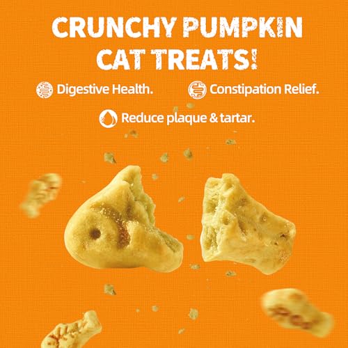 Pumpkin Cat Treats Salmon Flavor (13.4 Ounce (Pack of 1))