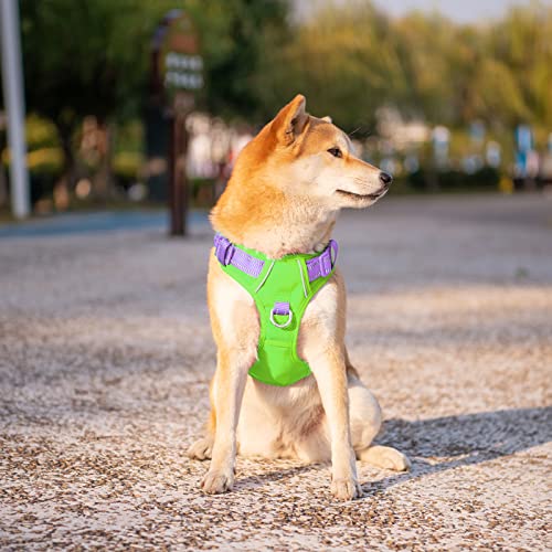 No Pull Dog Harness (Green Base & Purple Straps / Large)