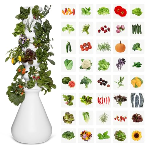 Farmstand Outdoor Starter Kit (36 Seedlings / Outdoor With Seedlings)