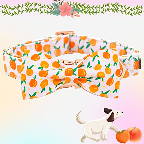 Dog Collar Peach Pattern Pet Collars with Bow Girl (Peach / Large (Pack of 1))