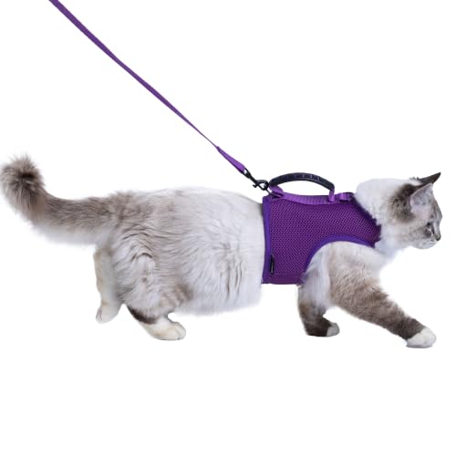 Cat Harness and Leash Set for Walking Escape Proof (Purple / XL 11-20 lbs)