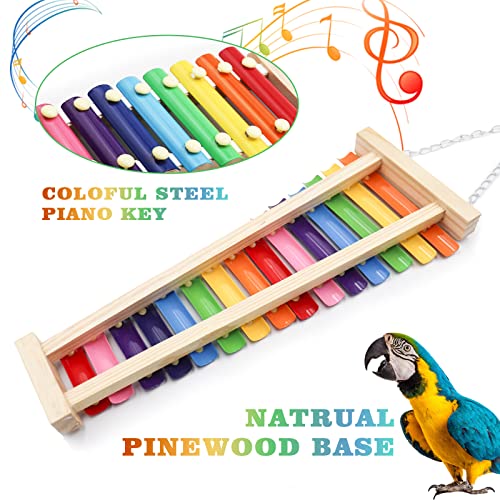 Large Colorful Bird Xylophone Toy