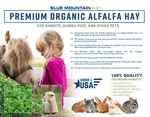 Organic Alfalfa Hay for Small Pets (10 Pound (Pack of 1))
