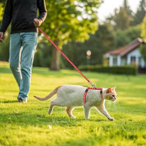 Cat Harness with Leash and Collar Set (Small / Red)