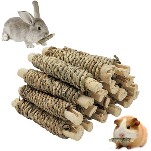 18 PCS Guinea Pig Chew Toys