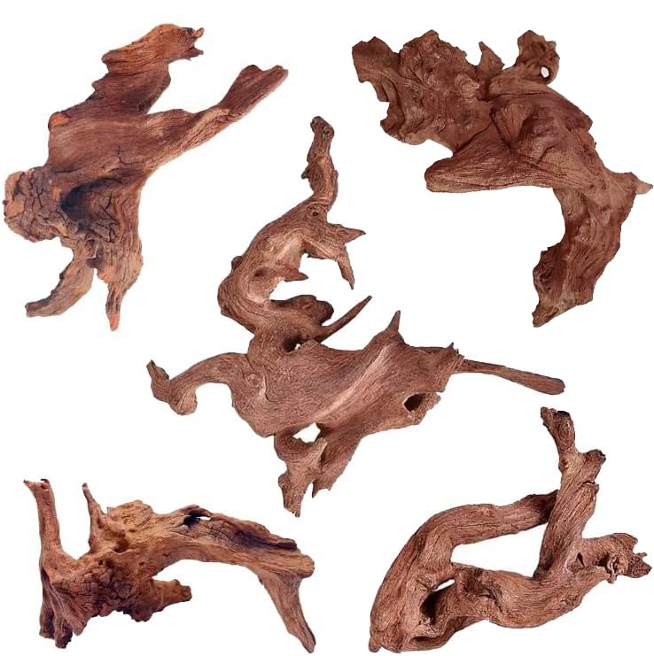 Natural Small Aquarium Driftwood for Fish Tank Reptile Decor (Mopani Driftwood 4 to 8 Inch (Pack of 5))