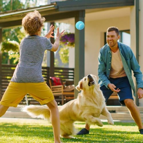Dog Tennis Balls 3 Pack (2.5" Squeaky / 3 Pack, Blue)