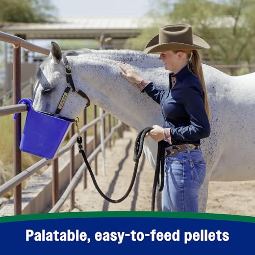 Horseshoer's Secret Pelleted Hoof & Biotin Supplements (Original formula / 11 pounds)