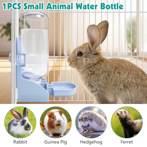 Rabbit Water Bottle (1PCS Water Dispenser, Blue)