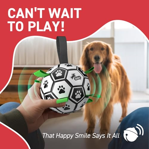 Dog Soccer Balls with Bell Inside (Squeaky Green / Medium Size 2 (6 Inch))