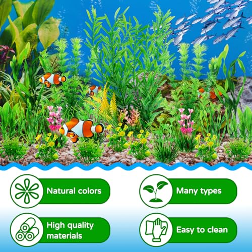 Fish Tank Plants