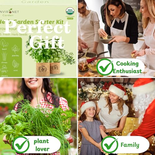 Herb Indoor Garden Kit (Basil, Parsley, Chives, Cilantro, Mint)