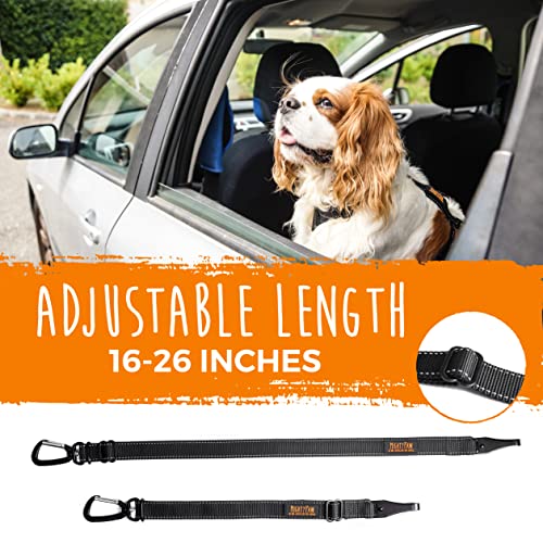 Dog Seat Belt For Car (Latch Bar Attachment)