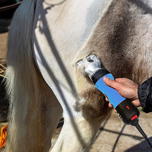 Horse Clippers (2.horse Clippers)