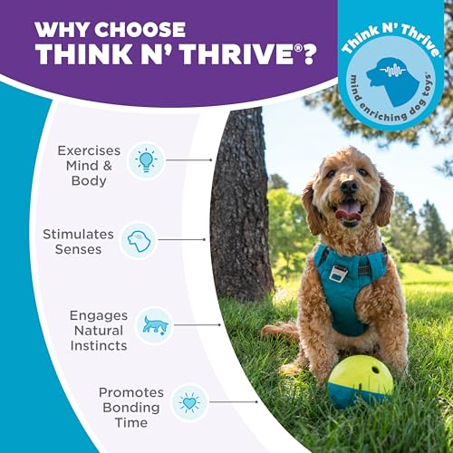 Nina Ottosson Treat Tumble Dog Toy Puzzle Ball (Blue / 1 Count (Pack of 1))