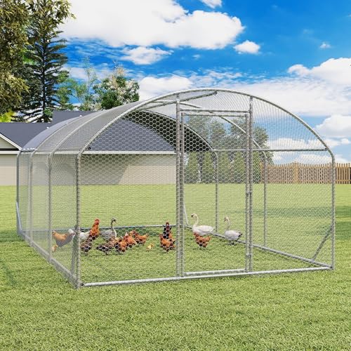 Large Metal Chicken Coop (19'Lx9'W)