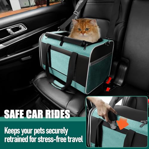 Large Cat Carrier Soft (Turquoise / 18.1"L x 11.8"W x 11.8"H)