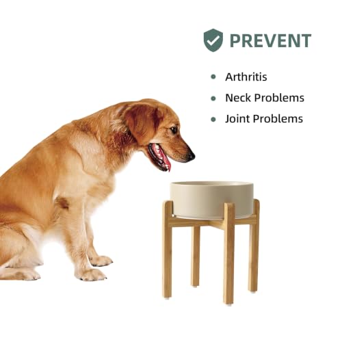 Dog Bowls Elevated (Matte Khaki)